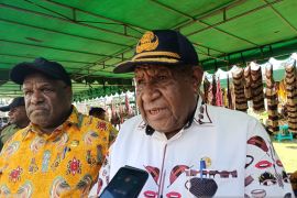 Pemprov Papua Pegunungan intervensi pasar tekan inflasi