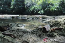 Geosite Dumaring menjadi percontohan pelestarian karst purba tingkat nasional