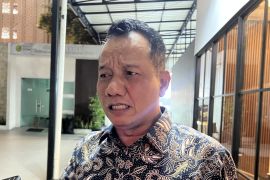 Preventing blackouts, RI Govt allocates additional coal quotas for PLN