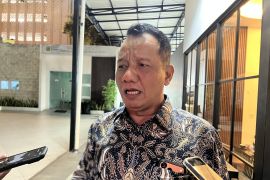 Indonesia limits nickel quota expansion to support global prices