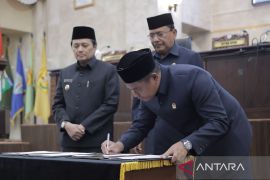 DPRD sepakat Raperda PPA Kalsel 2025 jadi Perda