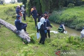 Kementerian LH pantau aktivitas perusahaan ekstraksi bahan baku cat di Manokwari