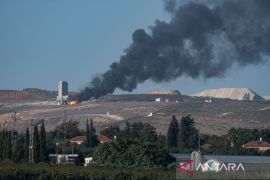 Rugi pertanian akibat serangan Israel di Lebanon tembus 1 miliar USD