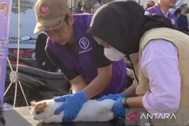 DPKHP Cianjur tingkatkan layanan kesehatan hewan peliharaan gratis