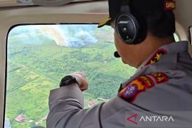Kapolda Kalteng temukan titik api seluas 16 hektare saat patroli udara karhutla