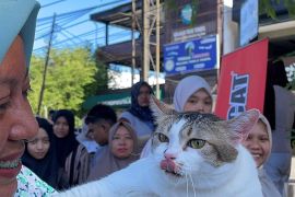 Komunitas Power Cat gelar fun day satukan pecinta kucing Aceh