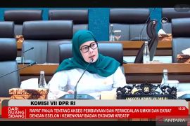 Komisi VII DPR dorong implementasi pembiayaan KI segera diperluas