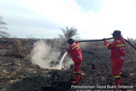 Forestry Ministry contains 7-ha fire in Riau as cooling continues