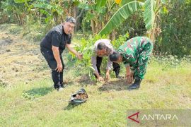 Nusa Jaya perluas gerakan tanam pohon ke berbagai daerah