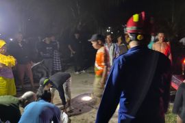 Kebakaran rumah di Lamsel tewaskan dua orang lansia