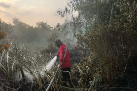 Lima daerah di Sumsel berstatus zona merah karhutla