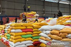 Hikmah di balik langkah ekspor beras