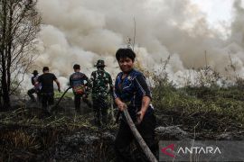 Indonesia pushes structural reform to prevent forest fires