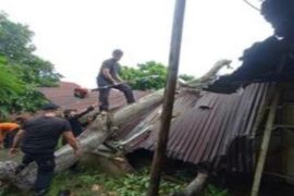 Pusdalops catat lima rumah  rusak akibat cuaca ekstrem melanda Binjai