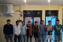 Polda Sumsel buru sopir pengangkut 368 ton batu bara ilegal