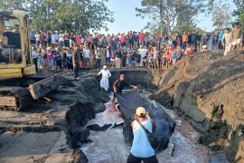 Paus bungkuk terdampar di Pantai Perancak Jembrana