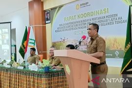 Pemprov Sulteng tingkatkan produktivitas pertanian dukung swasembada pangan nasional