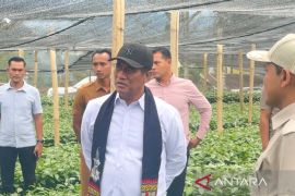 Mentan bidik ekspor kopi Indonesia tembus Rp100 triliun per tahun