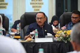 Anggota DPR Maruli kecam dugaan kekerasan seksual di Sampang