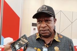 Dinkes Papua Pegunungan anggarkan Rp2 miliar untuk kontrak tenaga kesehatan