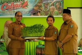 Kendalikan inflasi, NTB mulai gerakan tanam cabai di sekolah