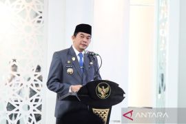 Bupati Tanah Bumbu: ASN harus bijak dalam bersosmed