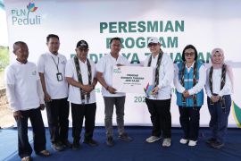 PLN bantu pengembangan budidaya jahe gajah untuk petani di Mempawah