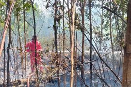 BPBD Belitung tingkatkan kesiagaan hadapi potensi kebakaran hutan