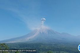 Semeru erupsi, tinggi letusan hingga 1,3 km di atas puncak