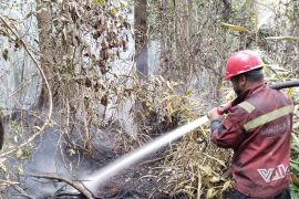 Balai Dalkarhut: Karhutla di Aceh Selatan mulai sisakan asap tipis