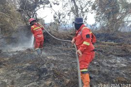 Manggala Agni berjibaku padamkan karhutla 10 ha di Rokan Hilir Riau