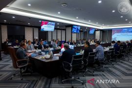 Kapasitas terpasang energi terbarukan Malaysia naik jadi 31 persen