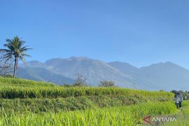 BBKSDA Jabar pastikan kebakaran di Gunung Guntur Garut tidak meluas