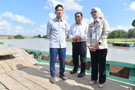 Wapres dorong percepatan pembangunan Jembatan Way Bungur Lampung