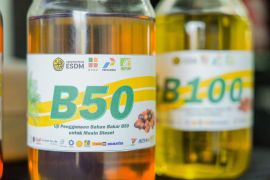Govt assures B50 diesel safe for engines
