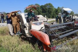 Pemkab Bangkalan menargetkan sektor pertanian tumbuh hingga 10 persen