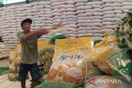 Pemkab Kutim perkuat kemandirian pangan berbasis keluarga hadapi kemarau
