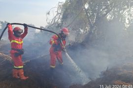 Manggala Agni tuntas padamkan karhutla 7,5 hektare di Kubu Rokan Hilir, Bagan Punak belum