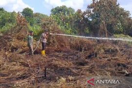 Tim gabungan berhasil padamkan karhutla di perbatasan Jambi-Sumsel