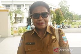 Pemerintah Mimika bangun sanggar kembangkan seni dan budaya