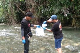 Peneliti temukan 32 spesies ikan di perairan Sungai Balantak