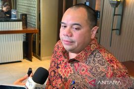 Danantara targetkan groundbreaking PSEL tahap 2 akhir kuartal III 2026