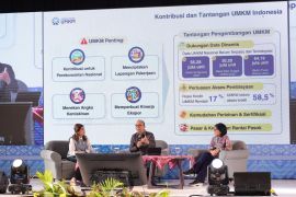 Kementerian UMKM minta pemda aktif usulkan pelaku usaha layak KUR