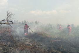 Kemenhut: Karhutla Riau capai 15.477,9 hektare pada 2026