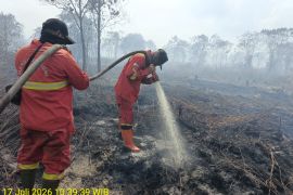 Manggala Agni: Karhutla di Bengkalis Riau meluas hingga 80 hektare