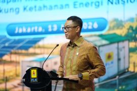 PLN perkuat kolaborasi lintas sektor untuk implementasi program listrik desa