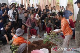 AA Kadu terapkan standar pembibitan jaga kemurnian durian unggul