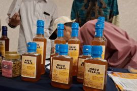 Sebanyak 13 KUPS di Lampung masuk level platinum