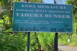 DLHK DIY memberlakukan retribusi masuk Hutan Bunder guna jaga kelestarian