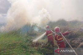 Kemenhut lakukan 107 operasi pemadaman karhutla di Kalsel